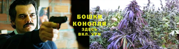 2c-b Баксан