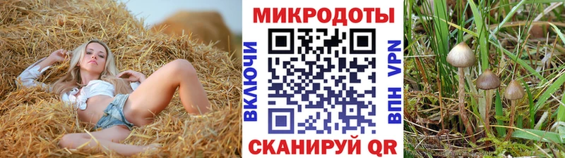 Галлюциногенные грибы мицелий  Ряжск 